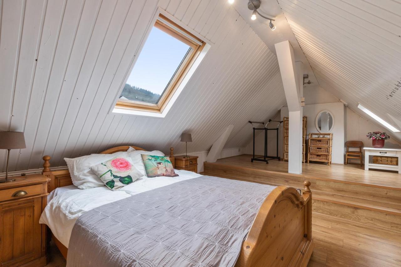 Haus Alte Rebe & Weisse Traube Apartment Кохем Екстериор снимка